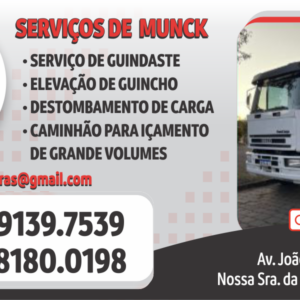 LG SERVIÇOS DE MUNCK EM CAXIAS DO SUL RS